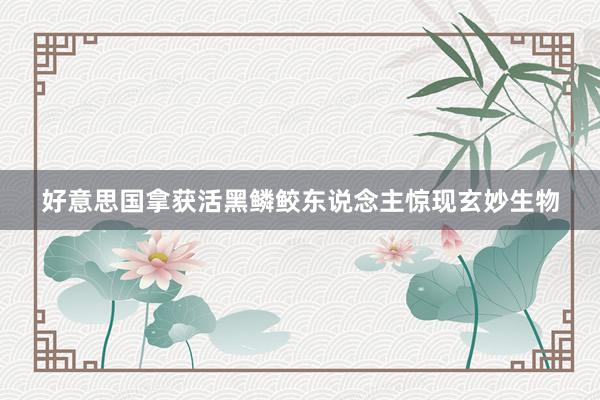 好意思国拿获活黑鳞鲛东说念主惊现玄妙生物